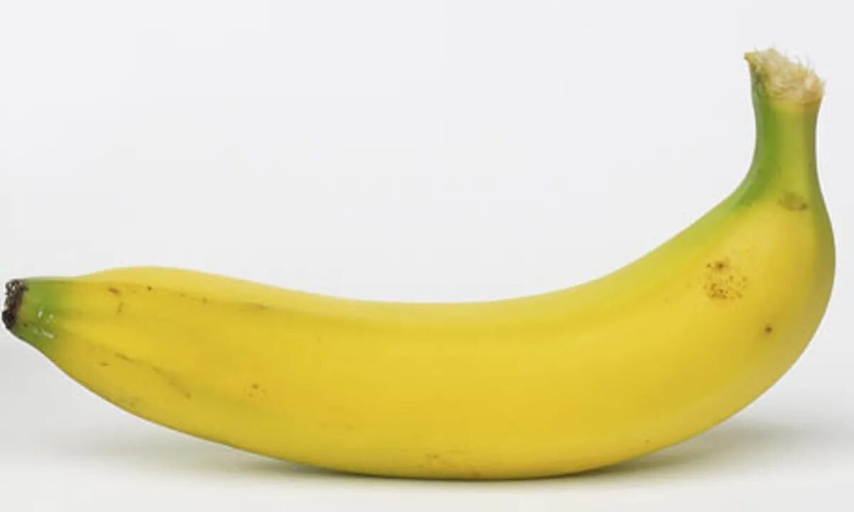 огромный банан. огромный банан. самый огромный банан. крупные бананы. памятник банану.