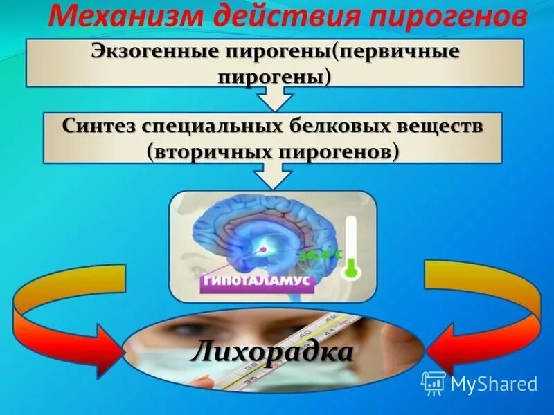 Механизм действия эндопирогенов. Механизмы пирогенов. Пирогенные вещества лихорадка. Механизмы пирогенов. Пирогены классификация патофизиология.