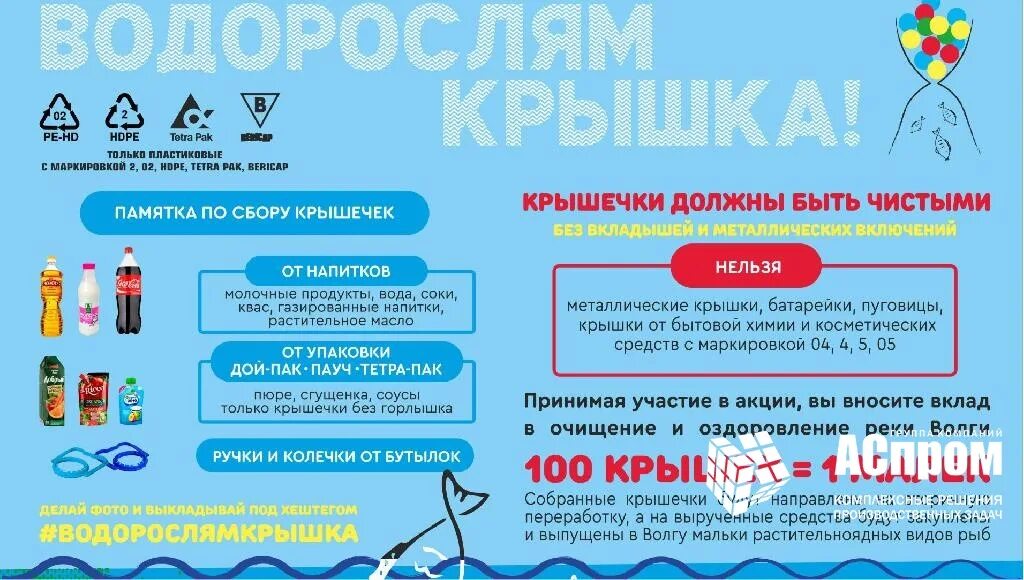 Водорослям крышка