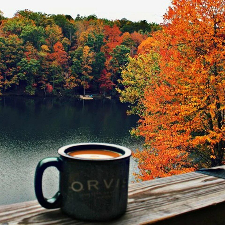 Однажды осенним утром. Доброе утро осень. Осенний кофе. Осень кофе. Доброе осеннее утро.