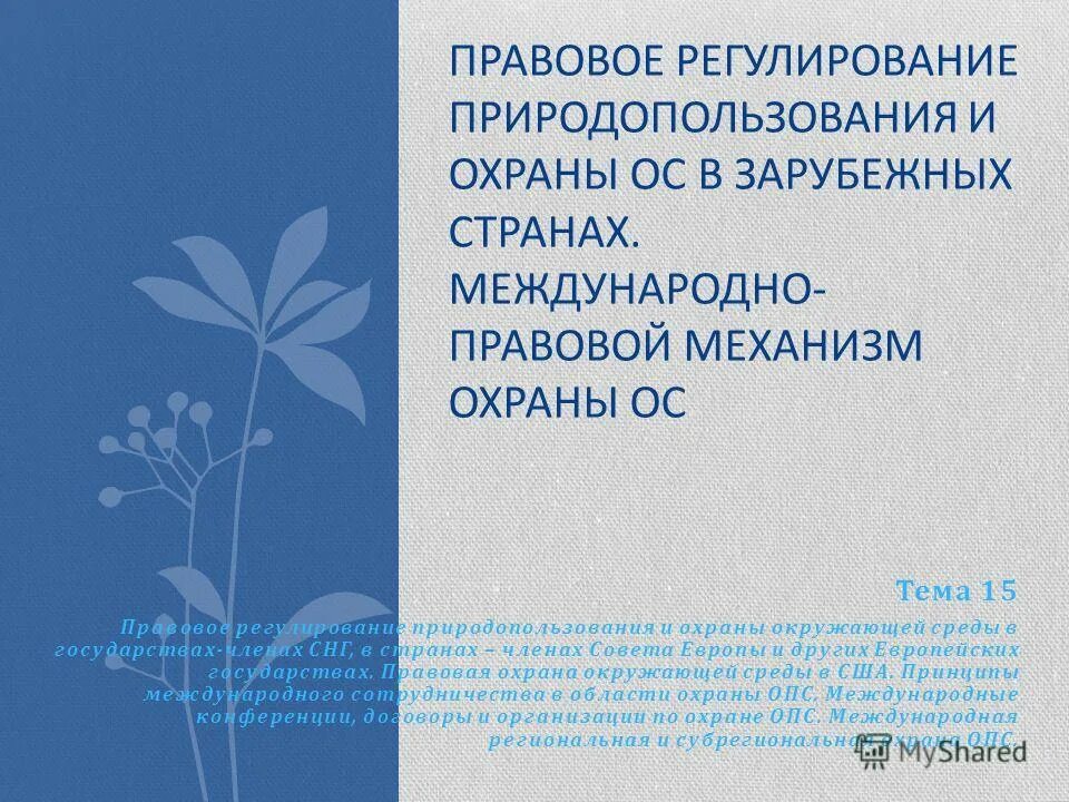 Правовое регулирование природных ресурсов. Регулирование природопользования. принципы природопользования и охраны окружающей среды. правовые основы природопользования и охраны окружающей среды.
