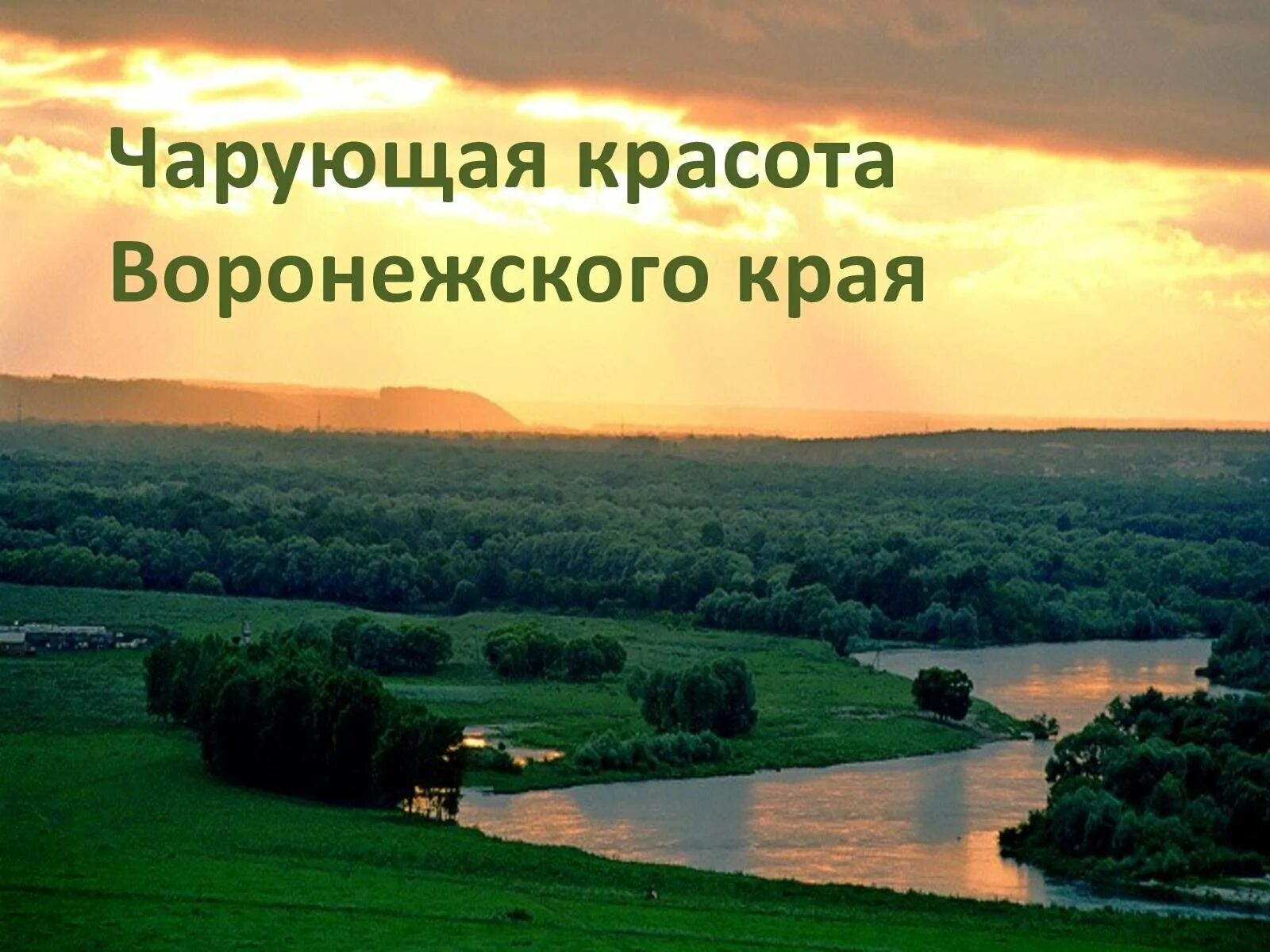 Знаменитые люди родного края 4 класс. Природа родного края. Природа Воронежской области. Природа Воронежского края. Природа Воронежского края проект.