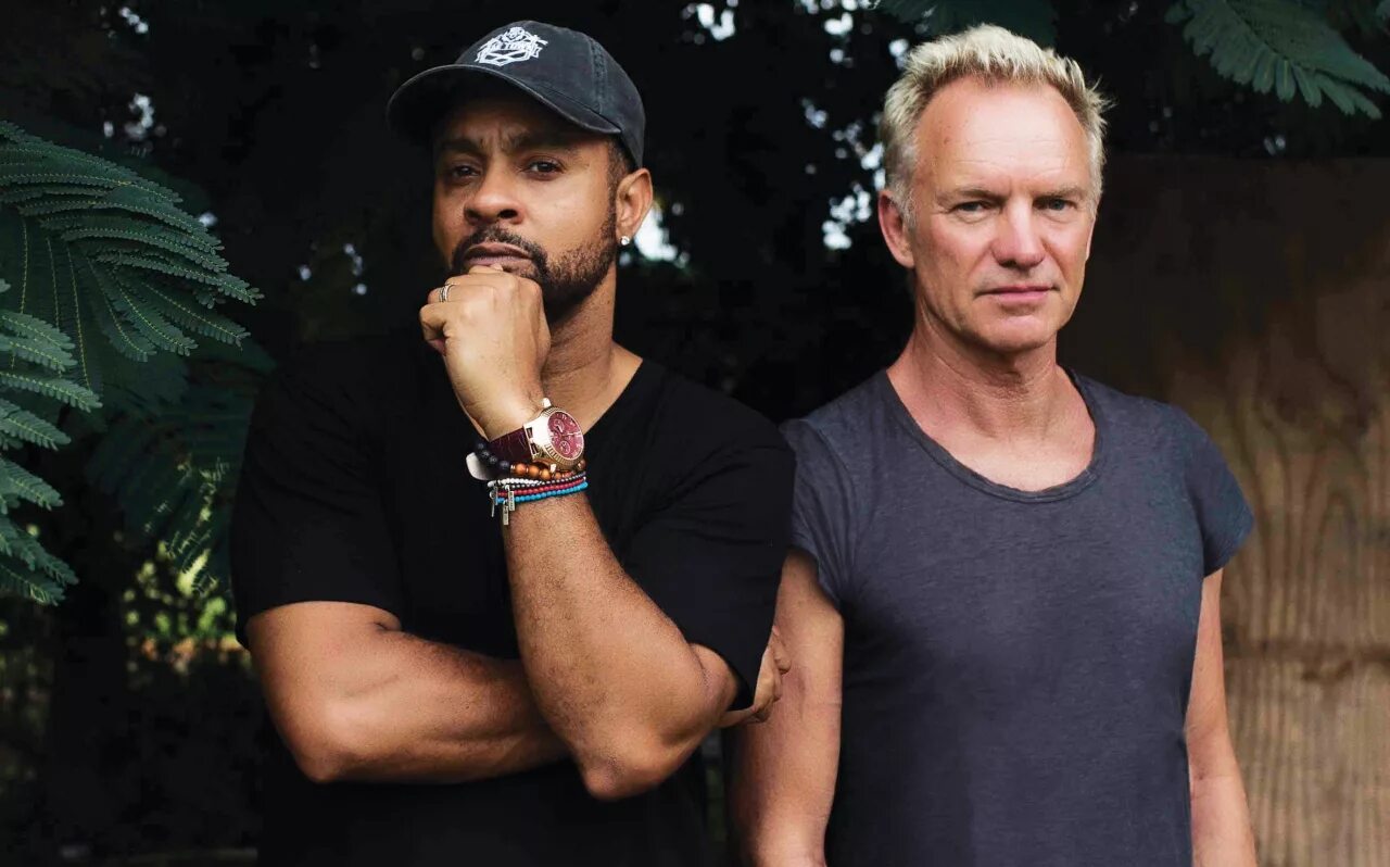 Крейг дэвид и стинг. Стинг и шегги. sting shaggy. стинг и чед мани. дуэт со стингом.