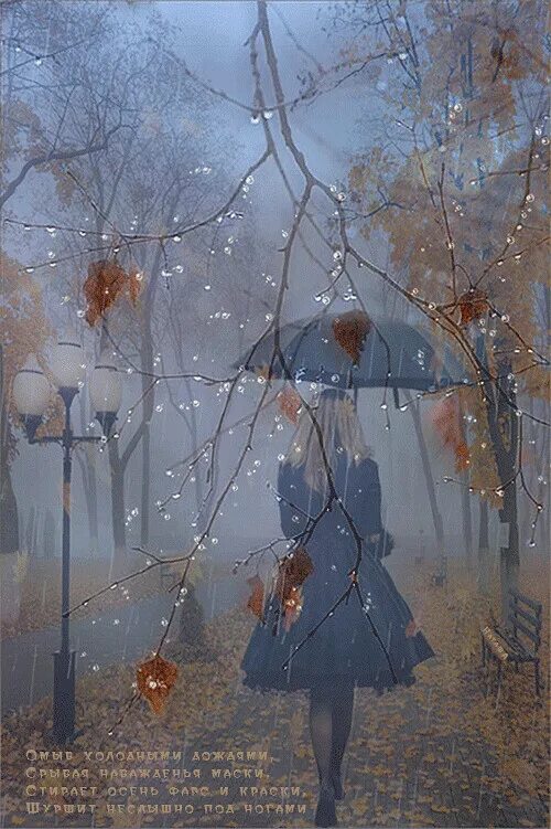 Дождливый день. Дождливый день гиф. Осенний дождь. Дождливый день анимация. Холодная дождливая осень.