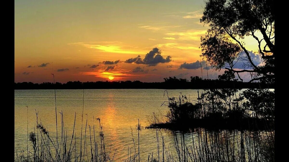 Туманное утро. Стихи есенина выткался на озере. Река вадим. Утро туман. Ночная тишь.