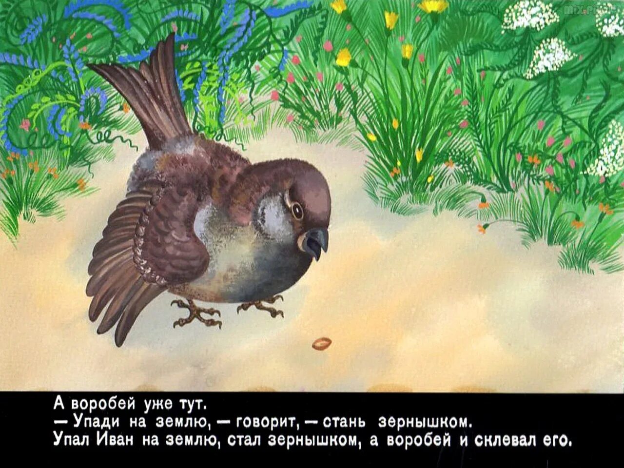 Мышь и воробей удмуртская. Тургенев воробей картинки. сказка мышь и воробей. тургенев воробей иллюстрации.