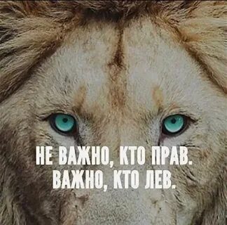 Кто же лев