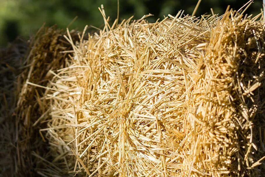 Straw