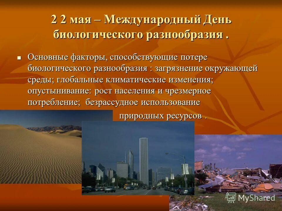 Многообразие природы. Планета земля экология. Природа экология. Изменение климата и биологическое разнообразие. Разнообразие.