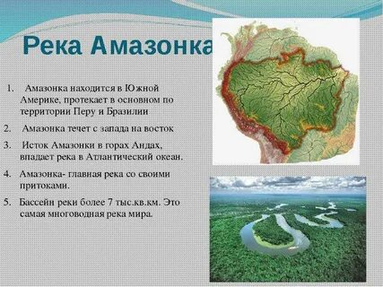 В какой водоем впадает амазонка