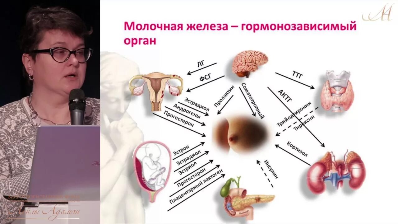Гормонозависимая опухоль молочной железы. Гормонозависимые органы. гормонозависимых опухолей. гормонозависимые ткани. опухоль гормонозависимая и гормононезависимая.