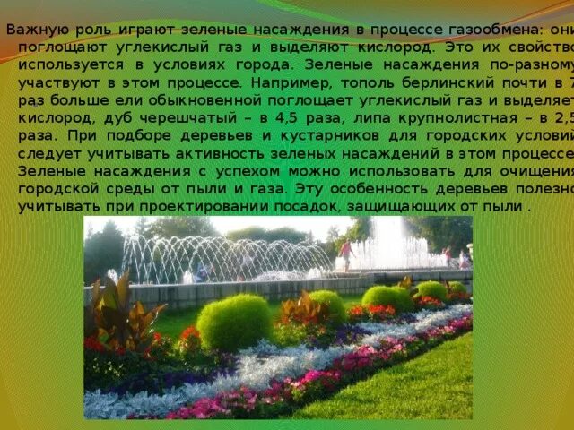 Газозащитная роль зеленых насаждений. Влияние зеленых насаждений на городскую среду. Функции зеленых насаждений в городской среде. Роль зеленых насаждений в городе