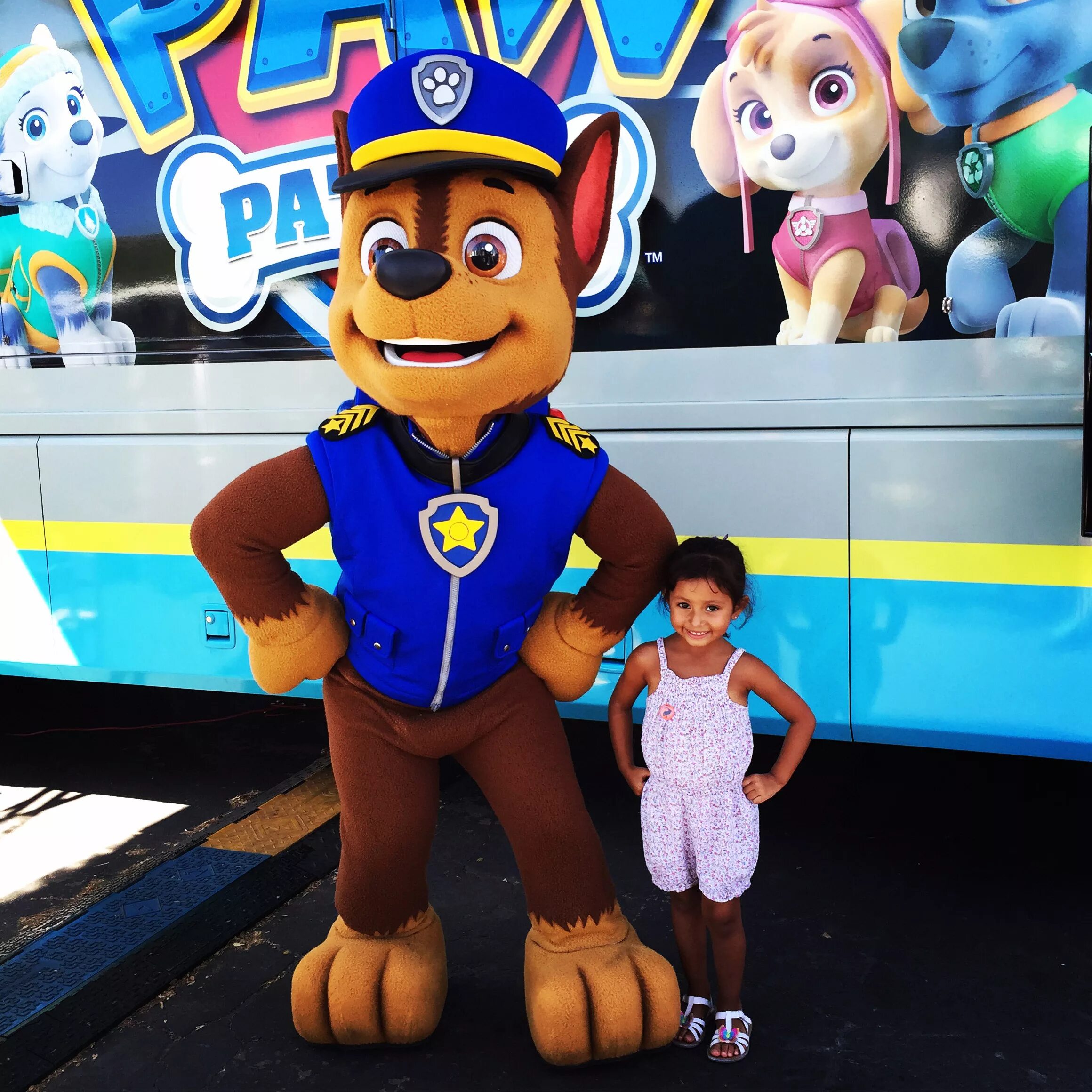 Paw Patrol Patroller. Либерти Щенячий патруль. Paw Patrol исполнитель группа. Включи машины патруль