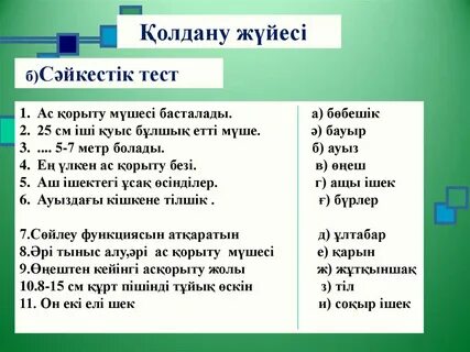 Әйелдерге арналған труси киген ер адам камера алдында жыныс мүшесін жұлқылайды.