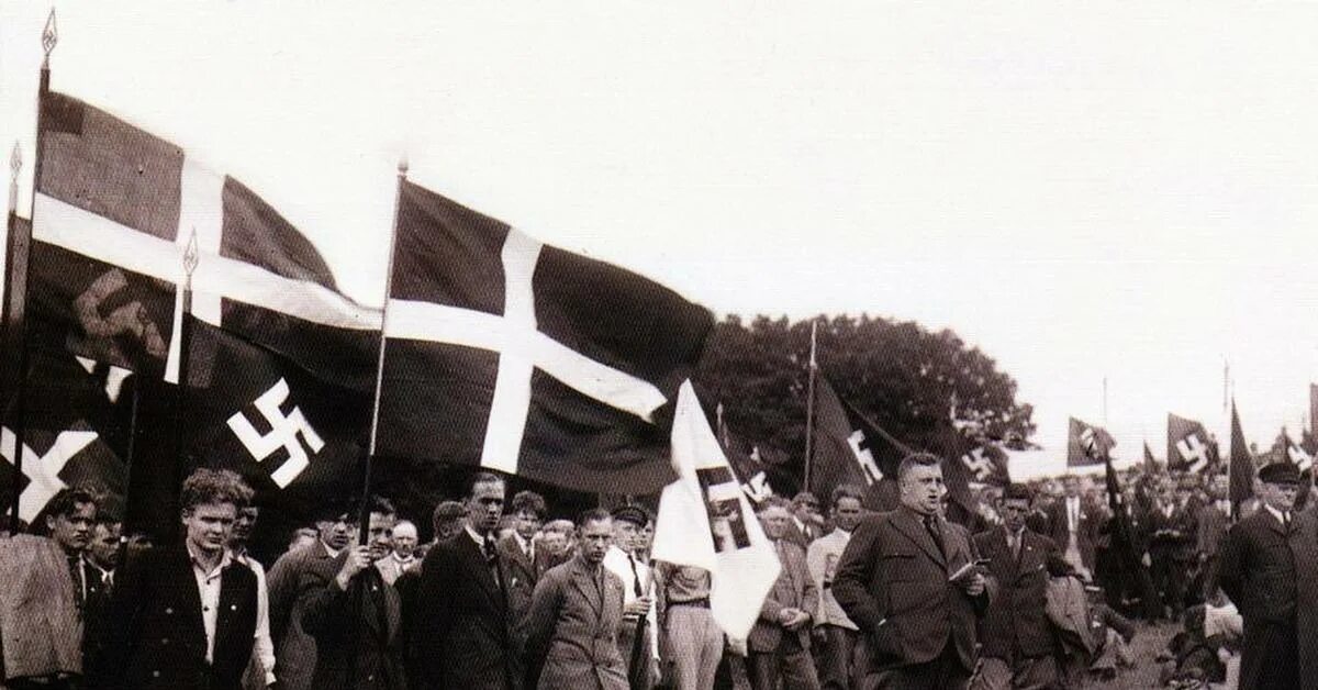 Национал Социалистическая партия Швеции. Национал-Социалистическая партия Швеции 1930. Национал-Социалистическая рабочая партия Дании. Национал-Социалистическая партия Германии 1930 годы. Национал социалистическая трудовая партия