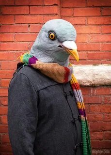 Костюм голуба
