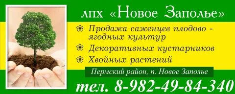 Питомники саженцев в перми