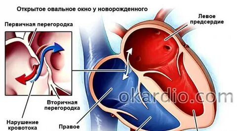 Б овальное окно