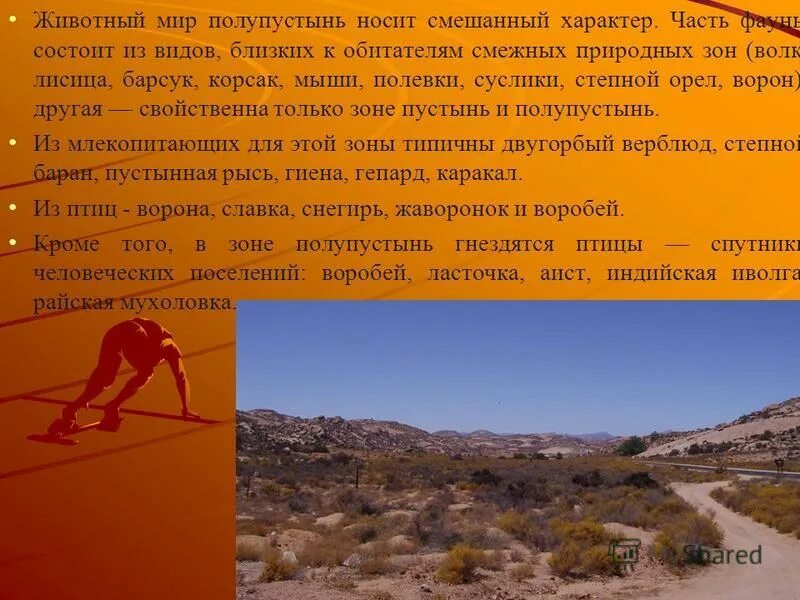 Тест пустыни и полупустыни 4 класс. Тест пустыни и полупустыни 4 класс