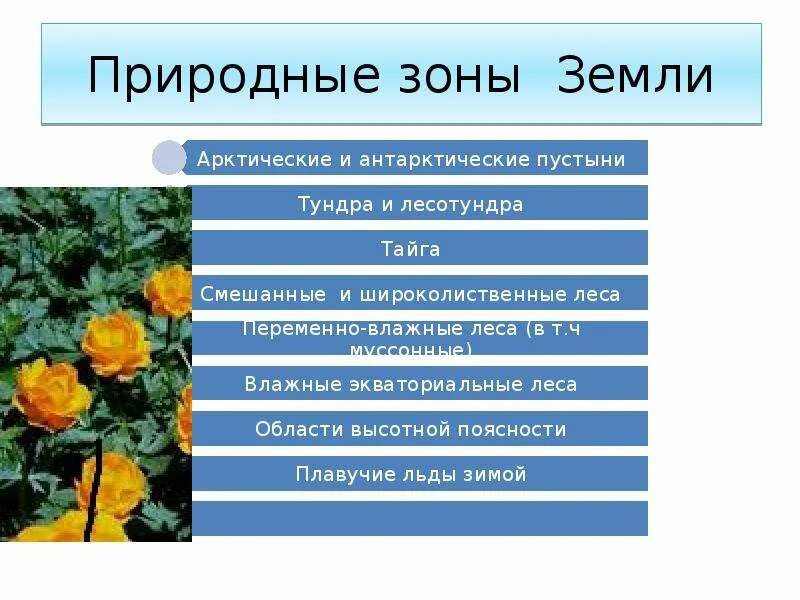 Природная зона презентация 7 класс. Природные зоны земли. Природные зоны земли 5 класс. Природные зоны земли презентация. Презентация на тему природные зоны.