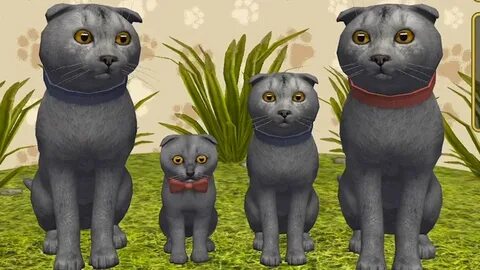 Симулятор семьи кошек