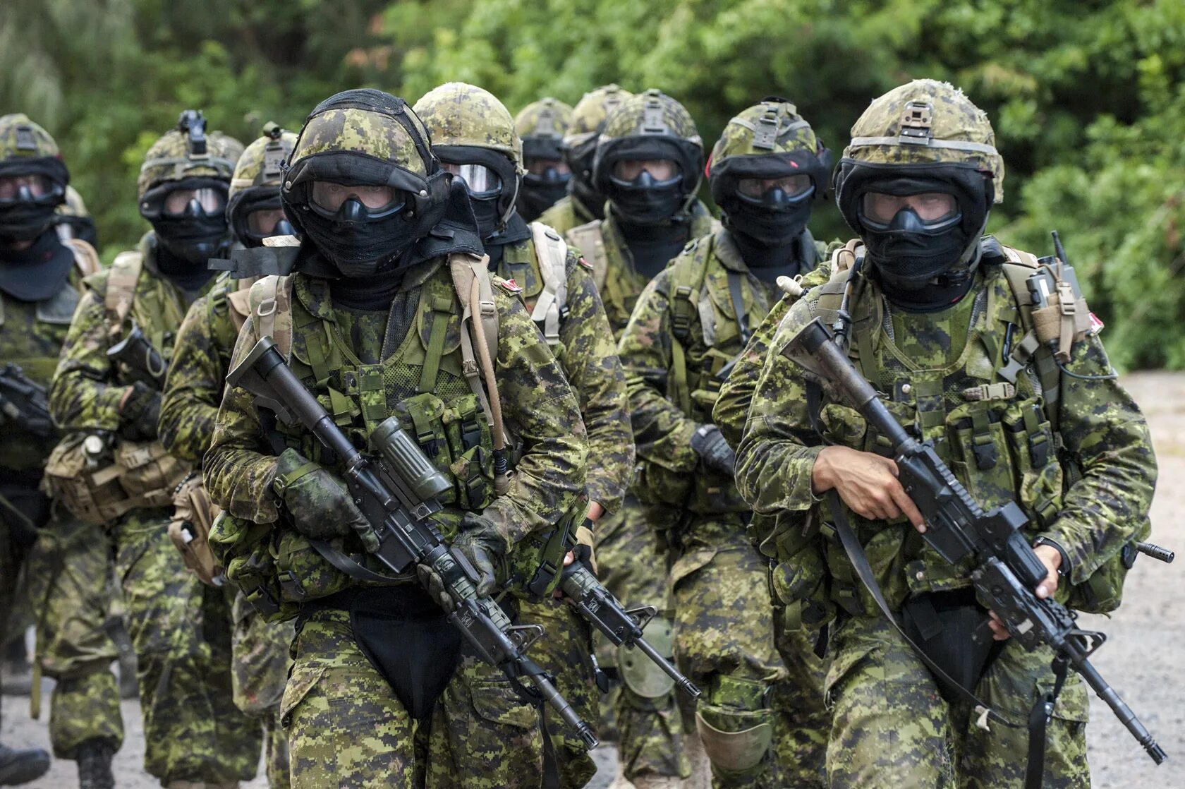 Canadian army