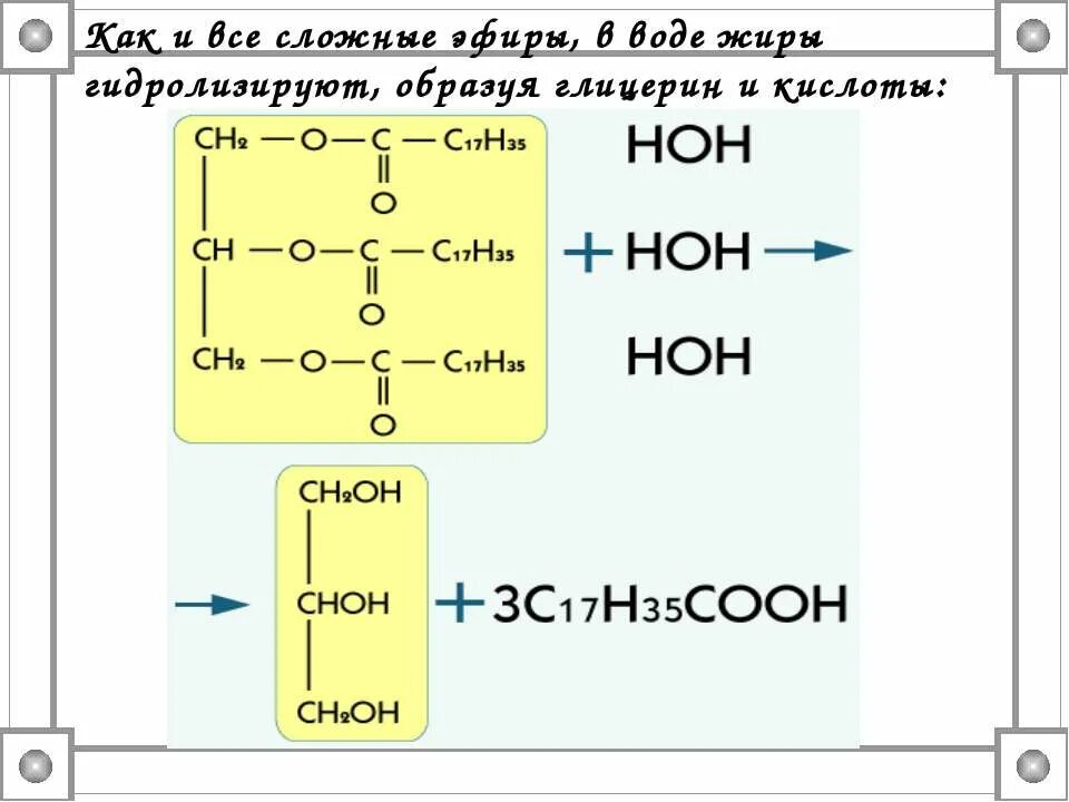 Жиры с бромной водой. Уравнения реакций поясняющих превращение жиров в организме. Дилинолеатпальмиат глицерина + вода. Жир в воде. Жиры и вода являются