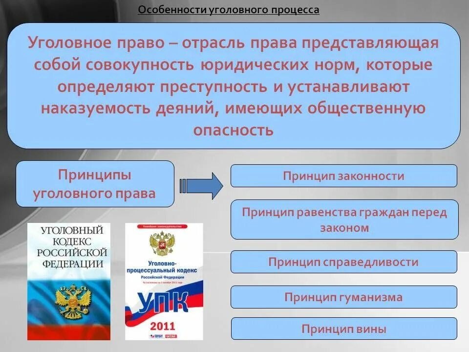 Особенности уголовного процесса план. Уголовное право.