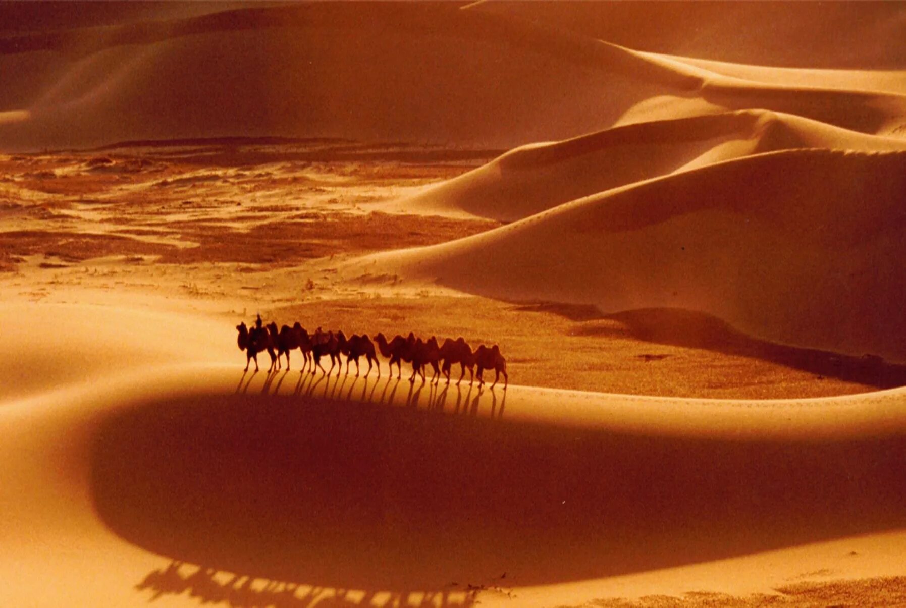 Гоби это пустыня. Пустыня Гоби ландшафты. Монголия Гоби. Пустыня Гоби климат. Пески пустыни Гоби.