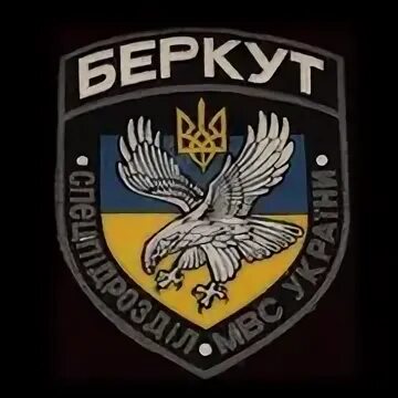 Беркут город. Беркут 33 фото. Белоголовый беркут. Беркут город. Berkut логотип.