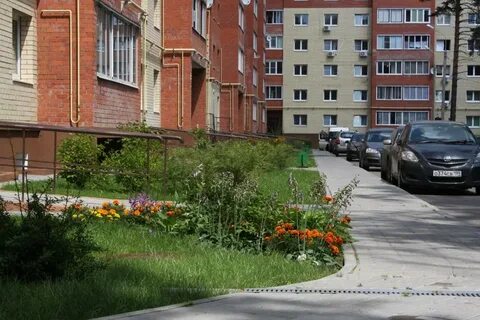Домодедово подмосковье