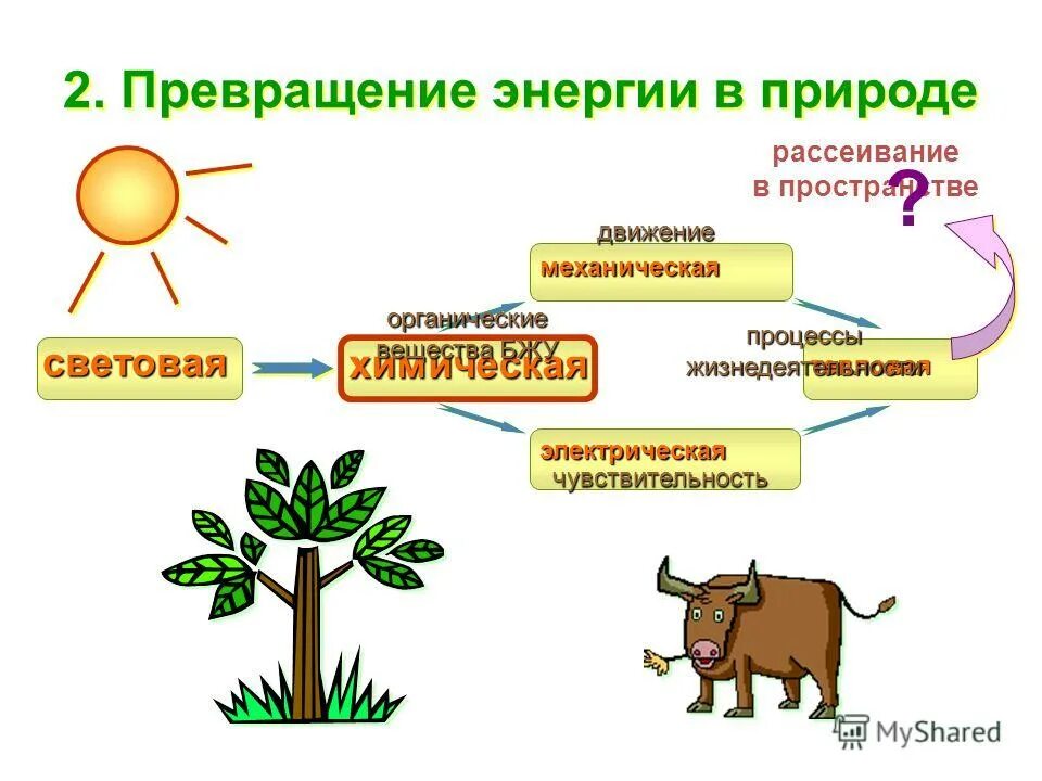 Обмен веществ. Обмен веществ и преобразование энергии в клетке схема. Энергия в фотосинтезе биология 6 класс. Процессы обмена веществ у животных. Обмен веществ и превращение энергии схема.