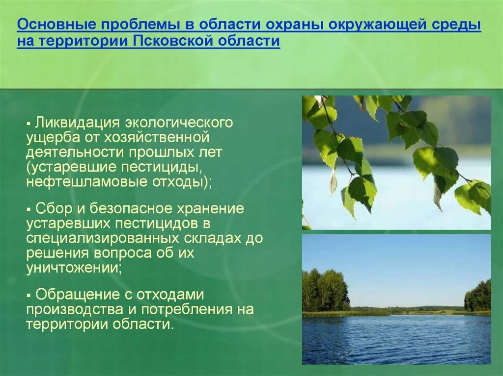 Экологические проблемы Псковской области. Охрана окружающей среды Псковской области. Охрана окружающей среды. Проблемы охраны окружающей среды.