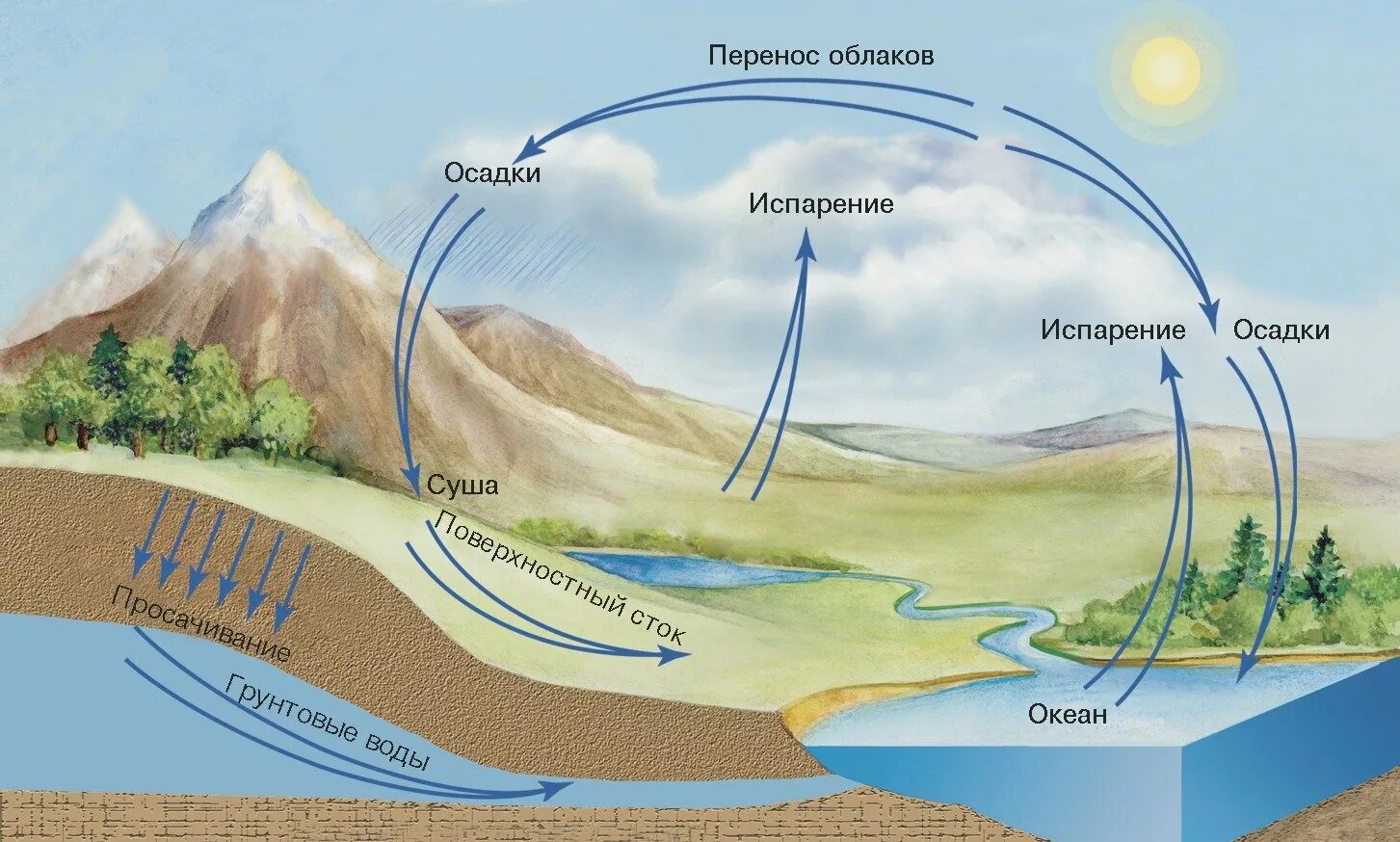 Прошло немного времени роса испарилась воздух. Круговорот воды в атмосфере. Круговорот воды в природе гидросфера атмосфера литосфера. Круговорот испарения воды. Круговорот воды схема испарение с поверхности суши.