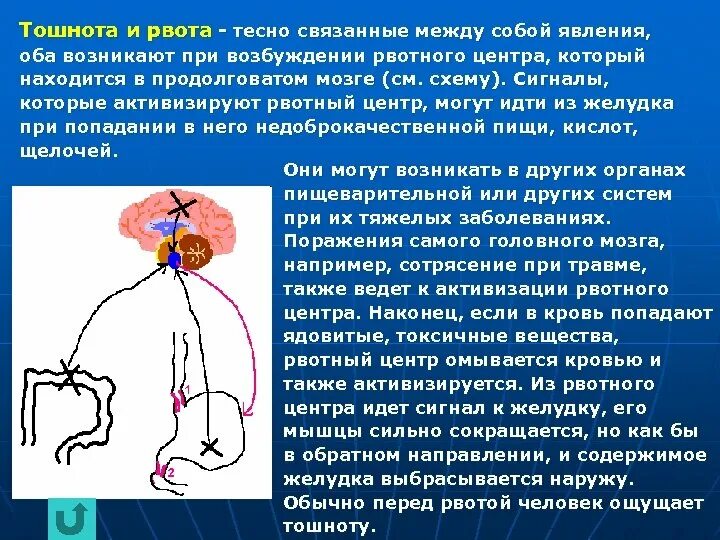 Сильный рвотный рефлекс. Рвотный центр мозга. Схема рвотного рефлекса. Причина развития рвотного рефлекса. Рвотный центр расположен.