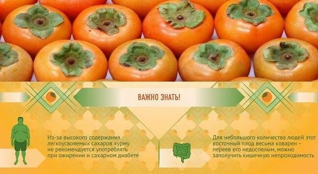Чем полезна хурма для организма. Полезна хурма для организма. Вредные качества хурмы. Хурма полезные свойства