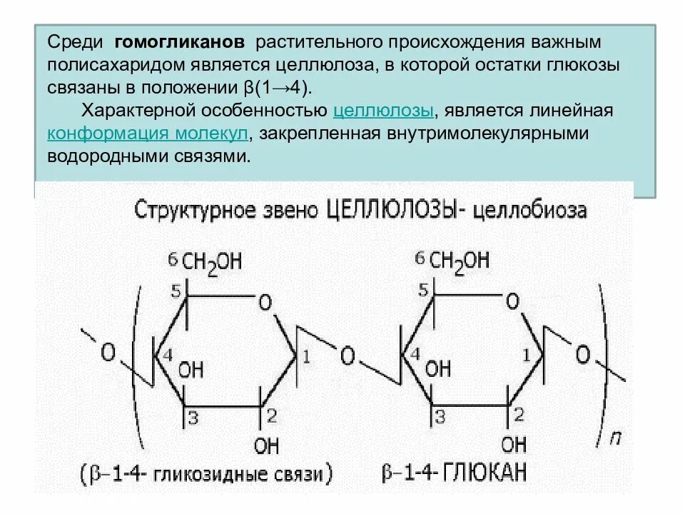 Целлюлоза вода глюкоза. Полисахариды растительного происхождения. Конформационное строение фрагмента целлюлозы. Полисахариды растительного происхождения строение. Целлюлоза Глюкоза.