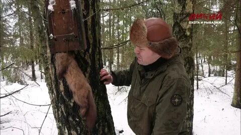 Установлен ловить