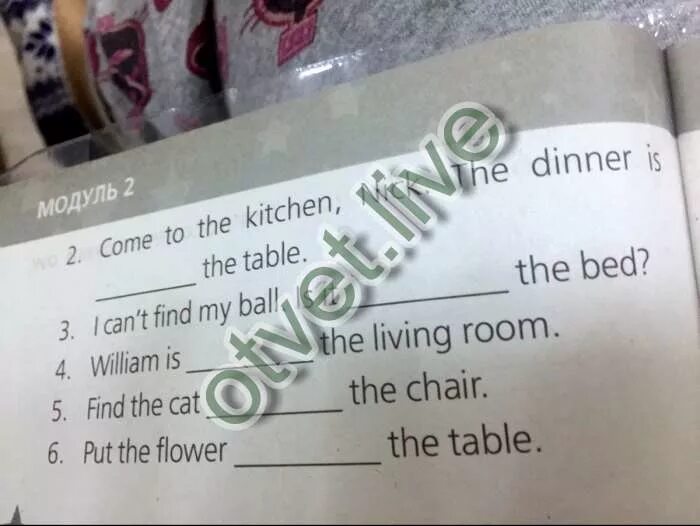 Заполните пропуски the book is. Come to the Kitchen Nick the dinner is the Table. Заполните пропуски предлогами the book is the Table. Заполните пропуски предлогами my wife is the Kitchen Now. Задание 7.6 заполните пропуски предлогами the book is the Table.