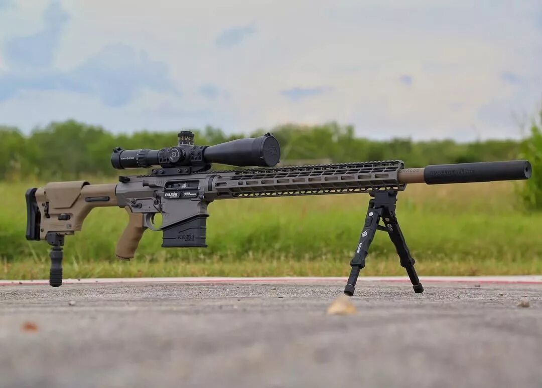 Ар 15 снайперская винтовка. Снайперская винтовка ar 15. Снайперская винтовка ar. Dl q33 снайперская винтовка. Ar-10 винтовка снайперская.