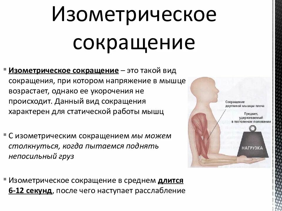 Режимы работы мышц. Изотонический тип мышечного сокращения. типы мышечных сокращений изотонический изометрический. изотоническое и изометрическое сокращение мышц. изотоническое сокращение мышц примеры.