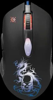 Defender dragon