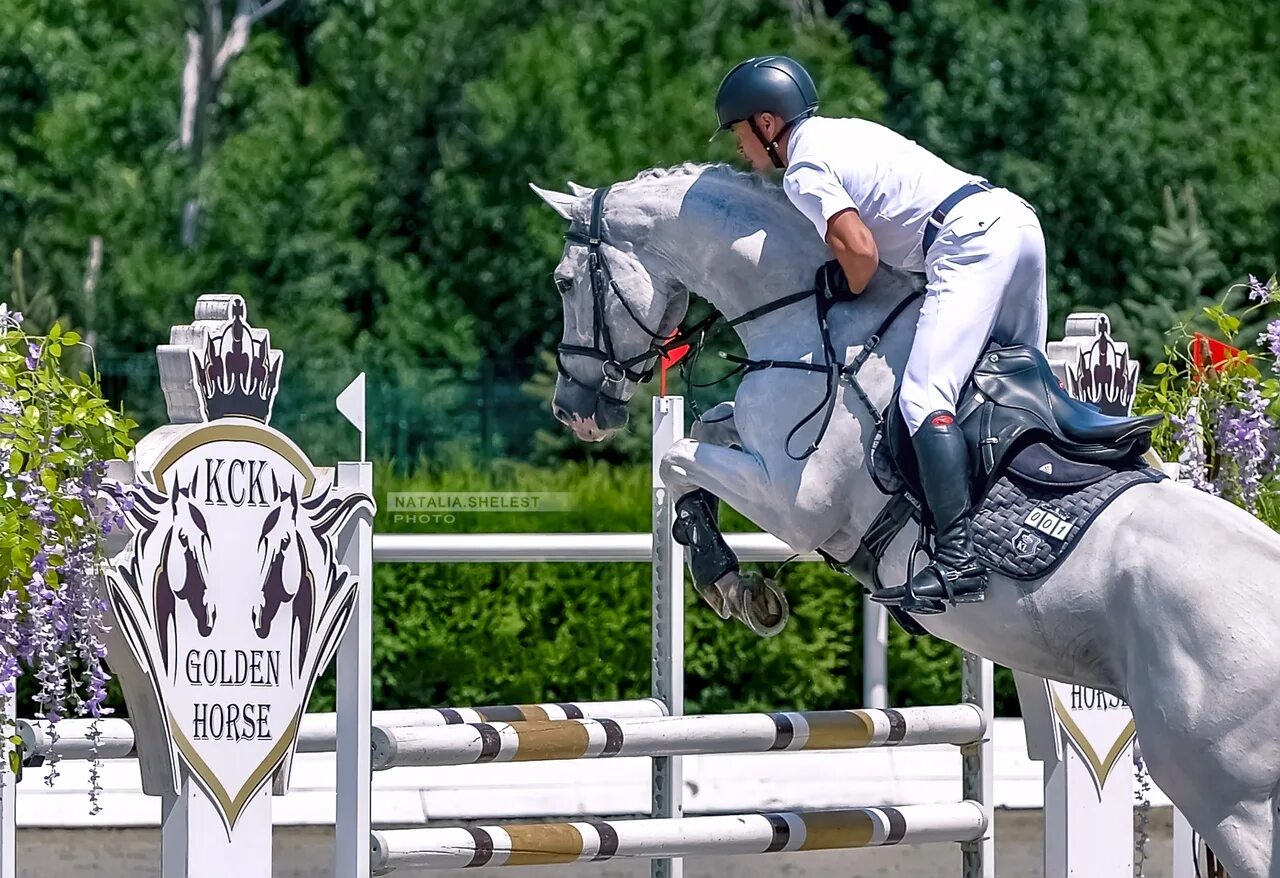 КСК Голден Хорс. КСК Голден Хорс Таганрог. Golden Horse Таганрог. Таганрог конно-спортивный клуб Golden Horse. Спа голден хорс