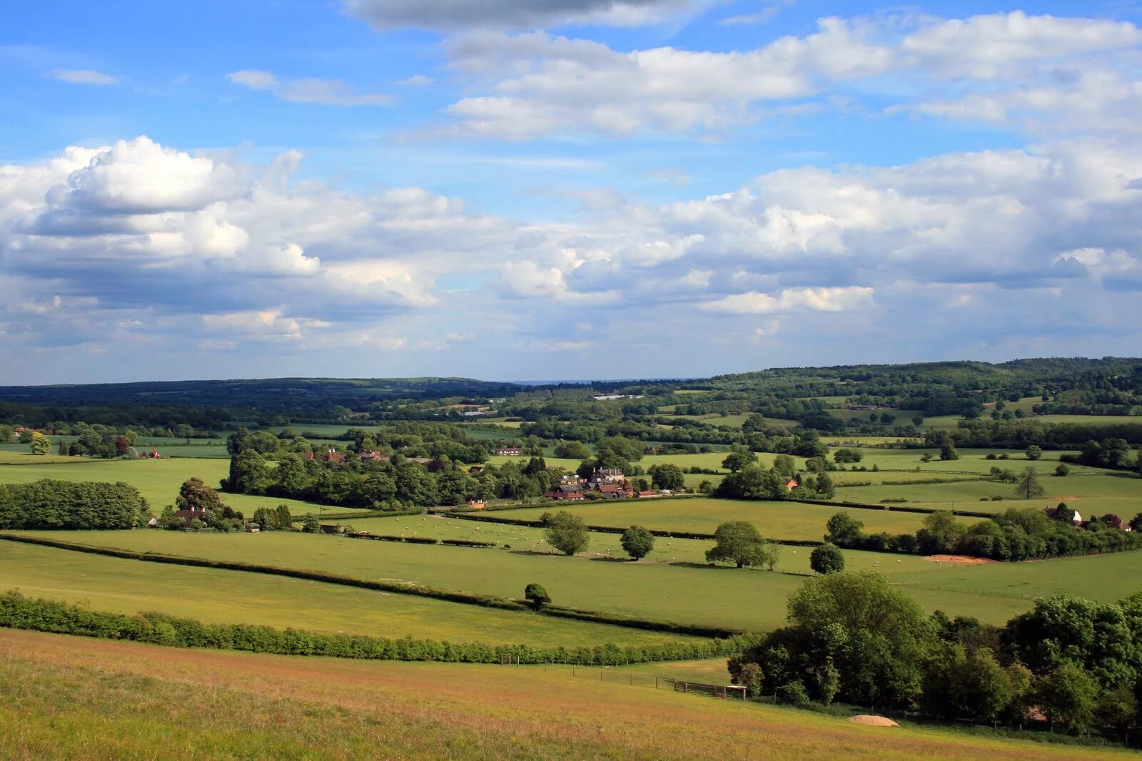 Countryside гайд. Норт Даунс. Kent downs Кент. Северный Даунс. Даунс гряда.