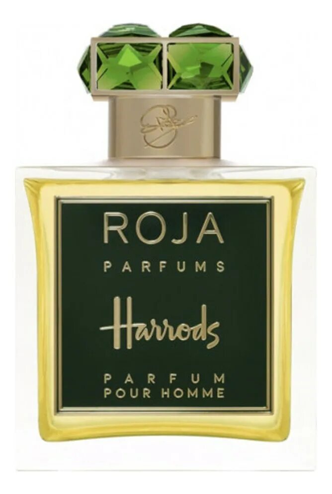 Мужской парфюм роже. Roja духи мужские. Духи roja parfums diaghilev, 100 мл. Духи roja oligarch. Мужской парфюм роже.