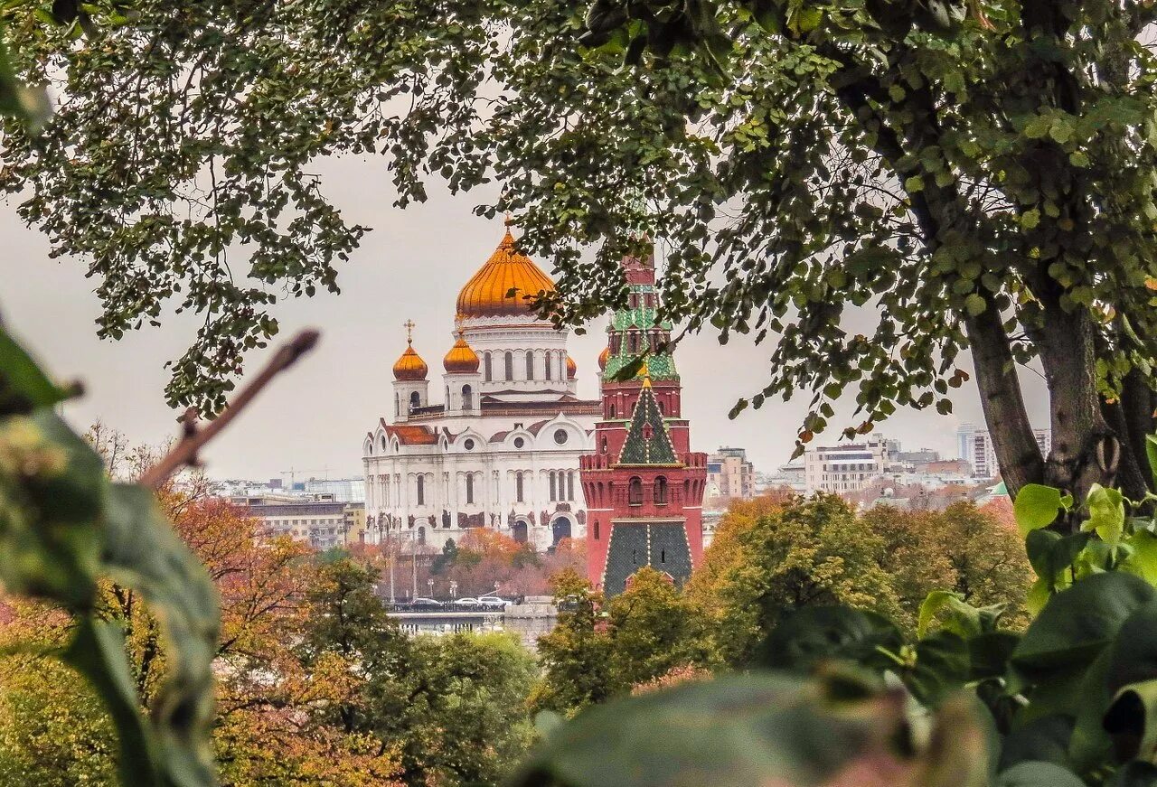 Что посетить с ребенком в москве осенью. Что посетить с ребенком в москве осенью
