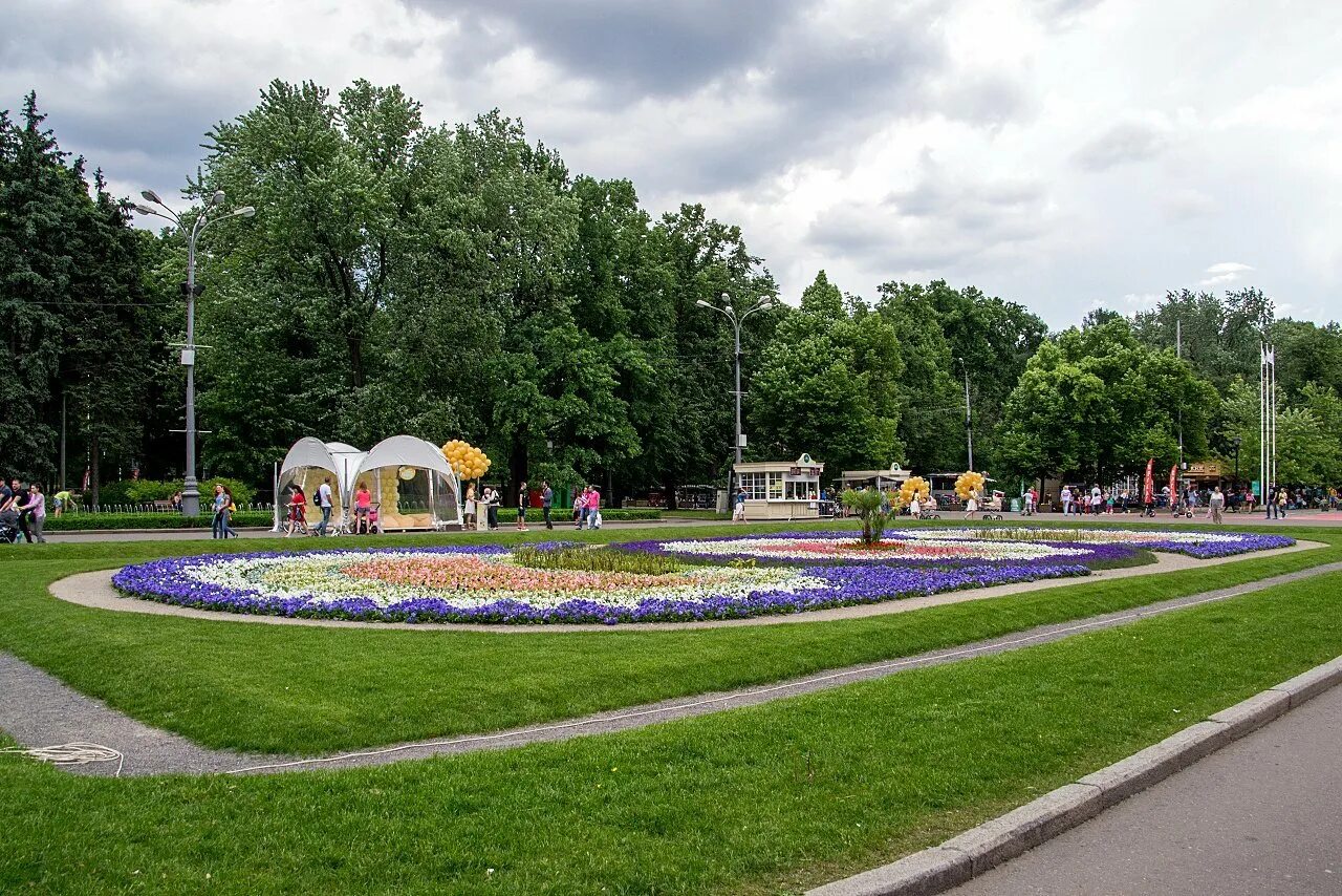 Сокольники. Московский парк сокольники. сокольники парк центральная клумба. парк сокольники клумбы. цветники парка сокольники.