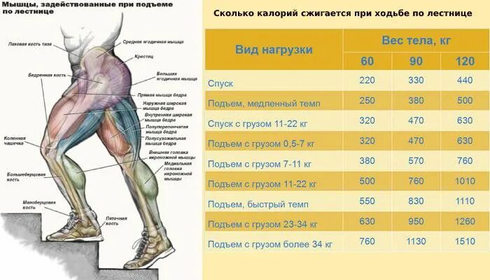 Расчет мощности развиваемой при подъеме по лестнице. Подъем по лестнице калории. Подъем по лестнице ккал. Ходьба по лестнице ккал. Ккал при подъеме по лестнице.