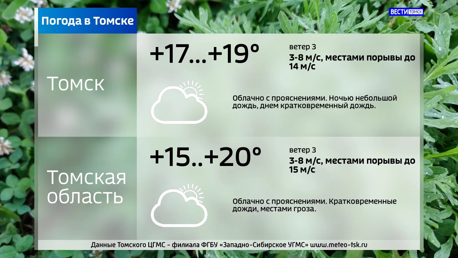 Погода в томске на неделю на 14. Погода в Томске. Томск климат. Погода в Томске ру. Погода в Томске на 10 дней.