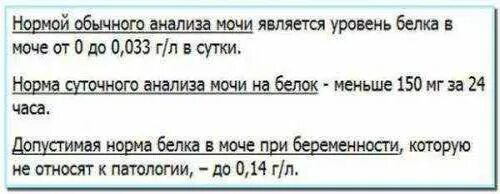 Белок в моче мг л. Белок 33 в моче при беременности. Белок в моче 0.033 у беременной. 0.033 Белка в моче. Норма белка в моче 0,033.